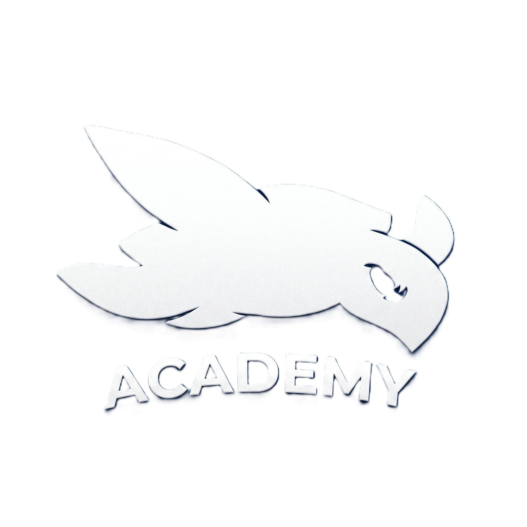 TC Academy